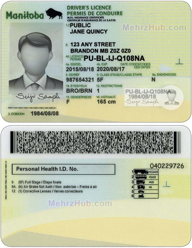 Manitoba Driver license Template
