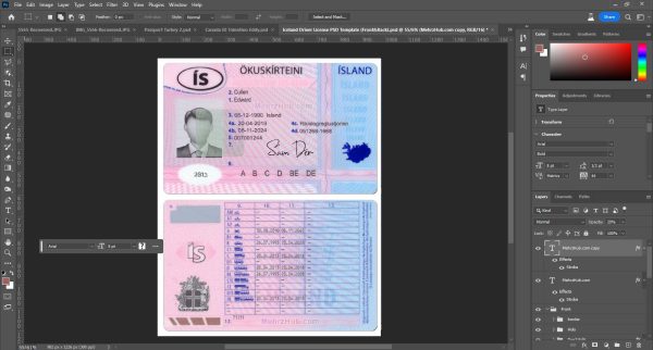 Iceland Driver License Template