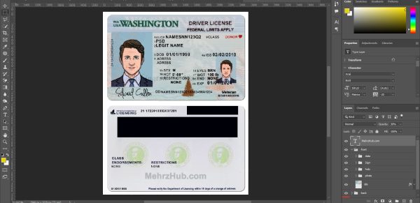 Editable Washington Driver License PSD Template - Image 2