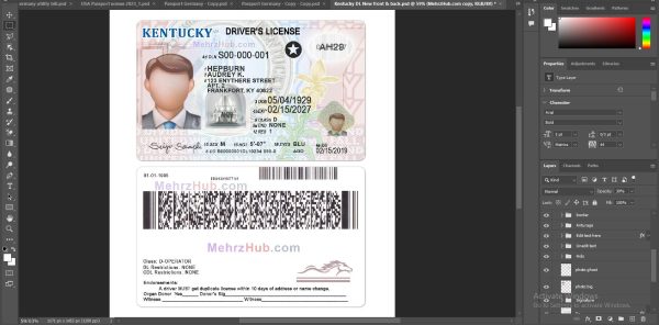 Editable Kentucky Driver License PSD Template - Image 2