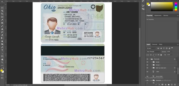 ohio driver license