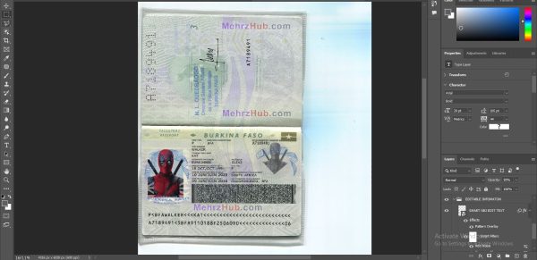 BurkinaFaso passport
