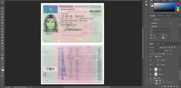 Germany Driver