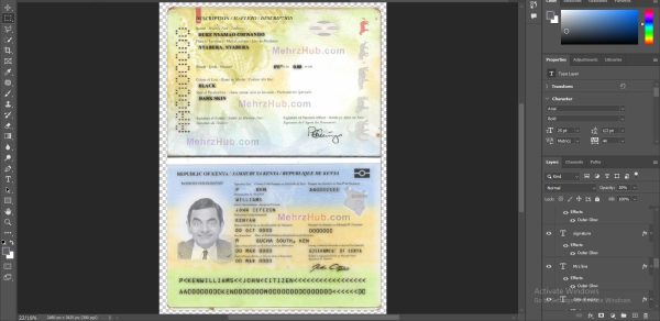 Editable Kenya Passport PSD Template - Image 2