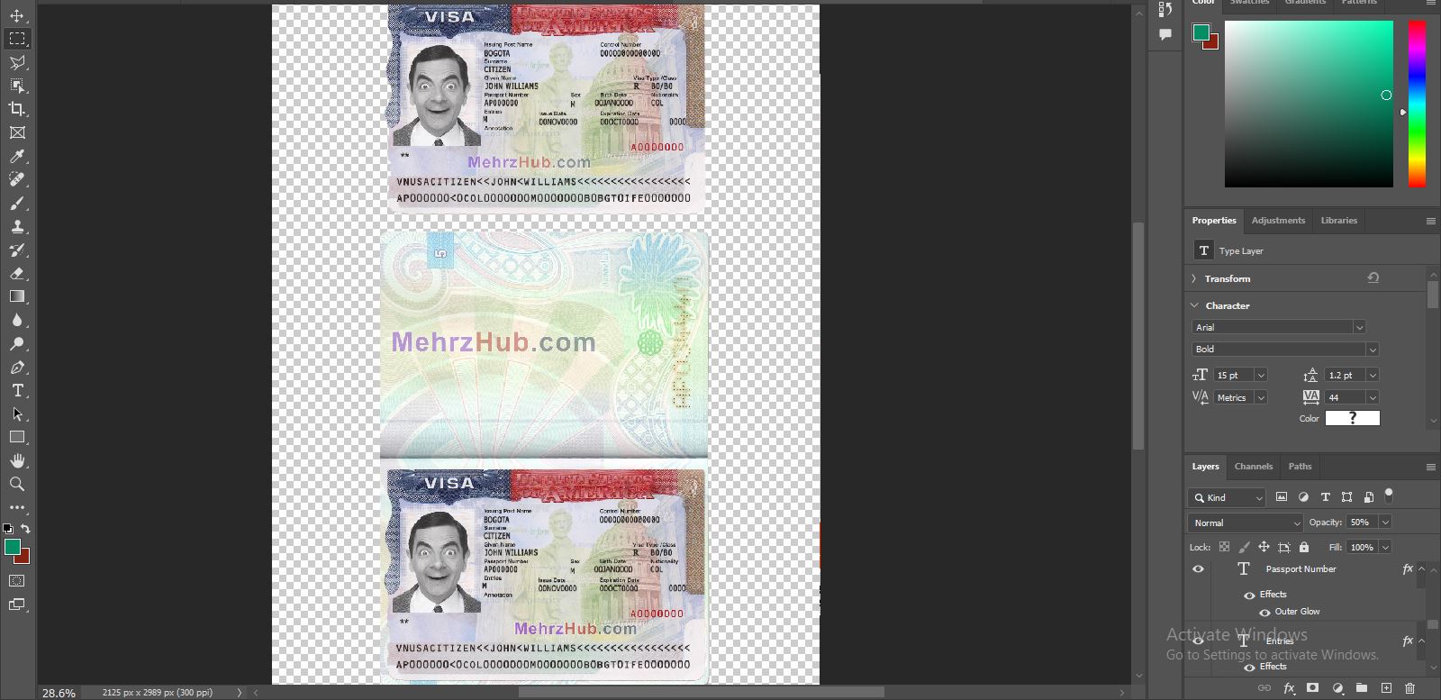 USA Visa