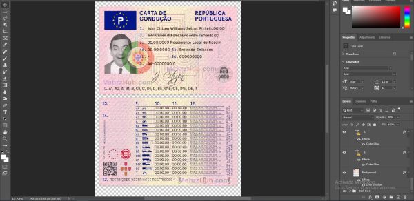 Portugal Driving License PSD