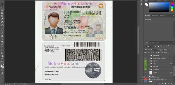 Georgia Driver License