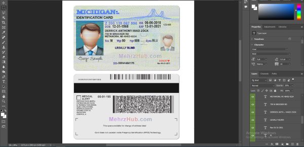 michigan id card