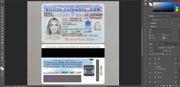 British Columbia Driving License