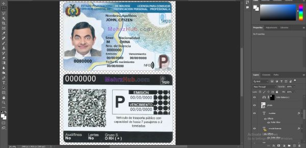 Bolivia Driving License