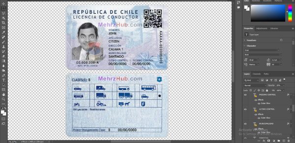 Chile Driving License
