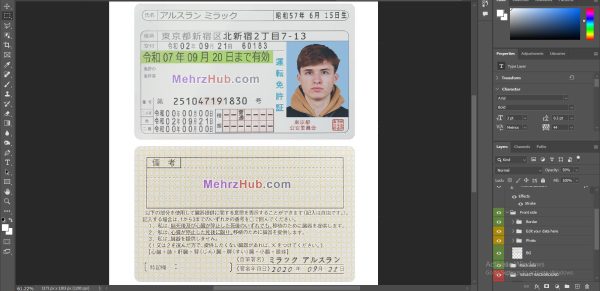 Japan Driving License