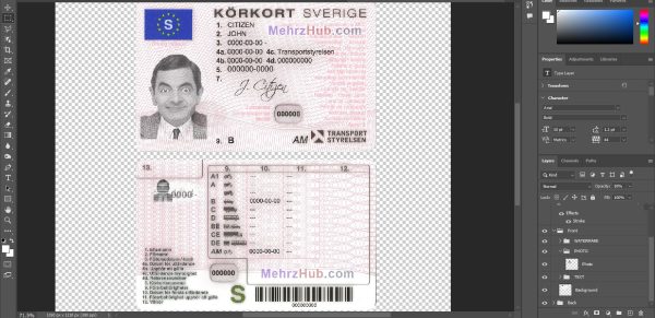 Sweden Driver License