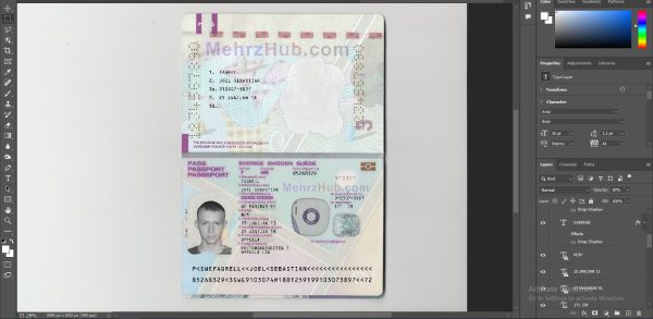 Sweden Passport